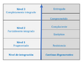 Liderazgo regenerativo marco conceptual 1.png