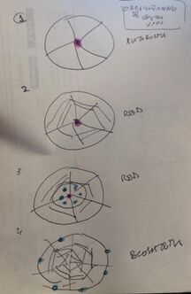 Organizaciones de Centro.jpg